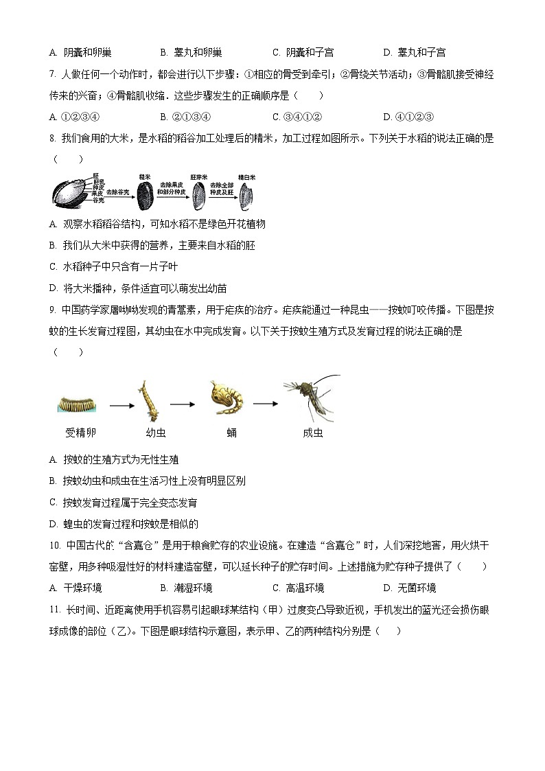 江苏省连云港市海州区2024-2025学年八年级上学期期末生物试题（原卷版）第2页