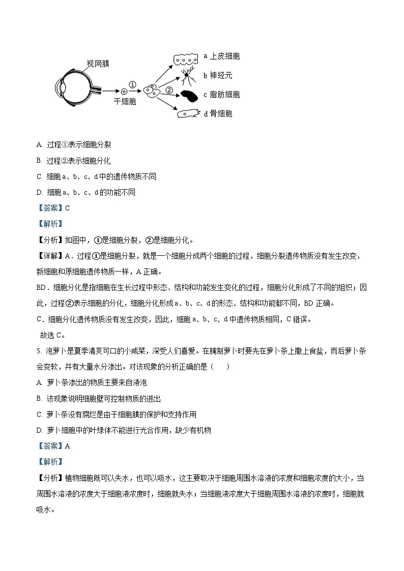 辽宁省大连市高新技术产业园区2024-2025学年七年级上学期期末生物试题（解析版）第3页