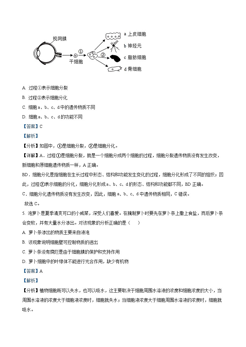 辽宁省大连市高新技术产业园区2024-2025学年七年级上学期期末生物试题（解析版）第3页