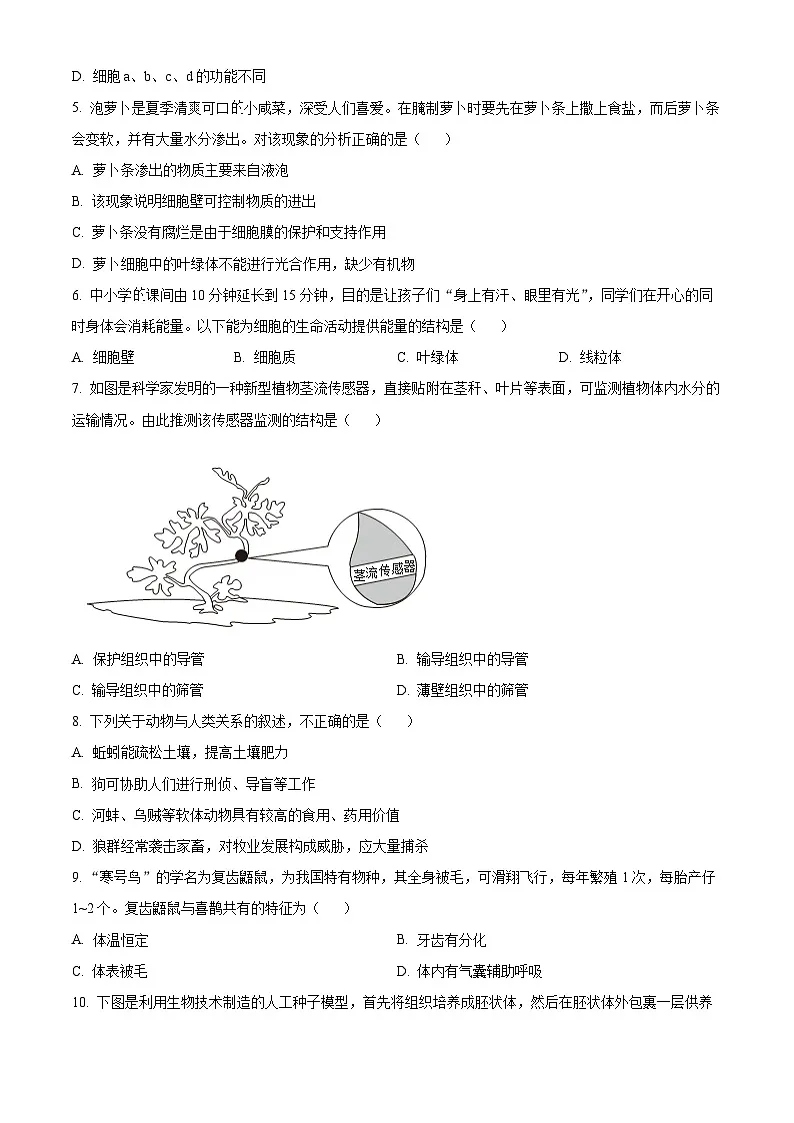 辽宁省大连市高新技术产业园区2024-2025学年七年级上学期期末生物试题（原卷版）第2页