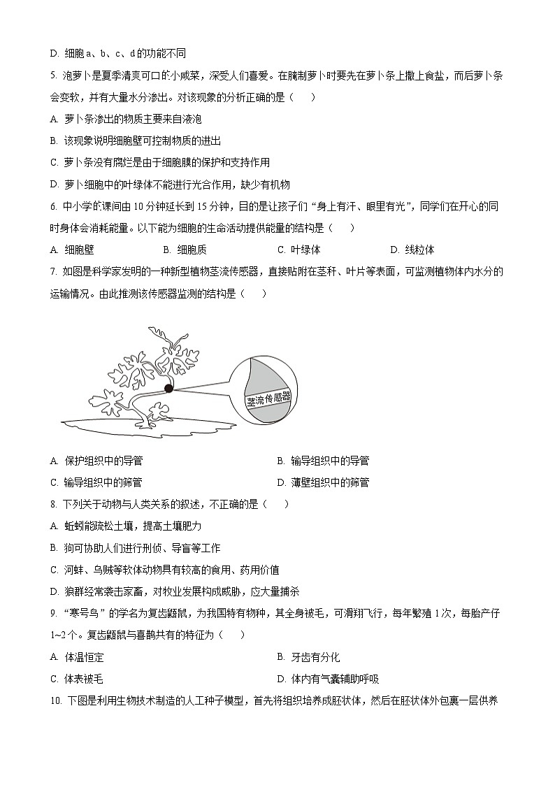 辽宁省大连市高新技术产业园区2024-2025学年七年级上学期期末生物试题（原卷版）第2页