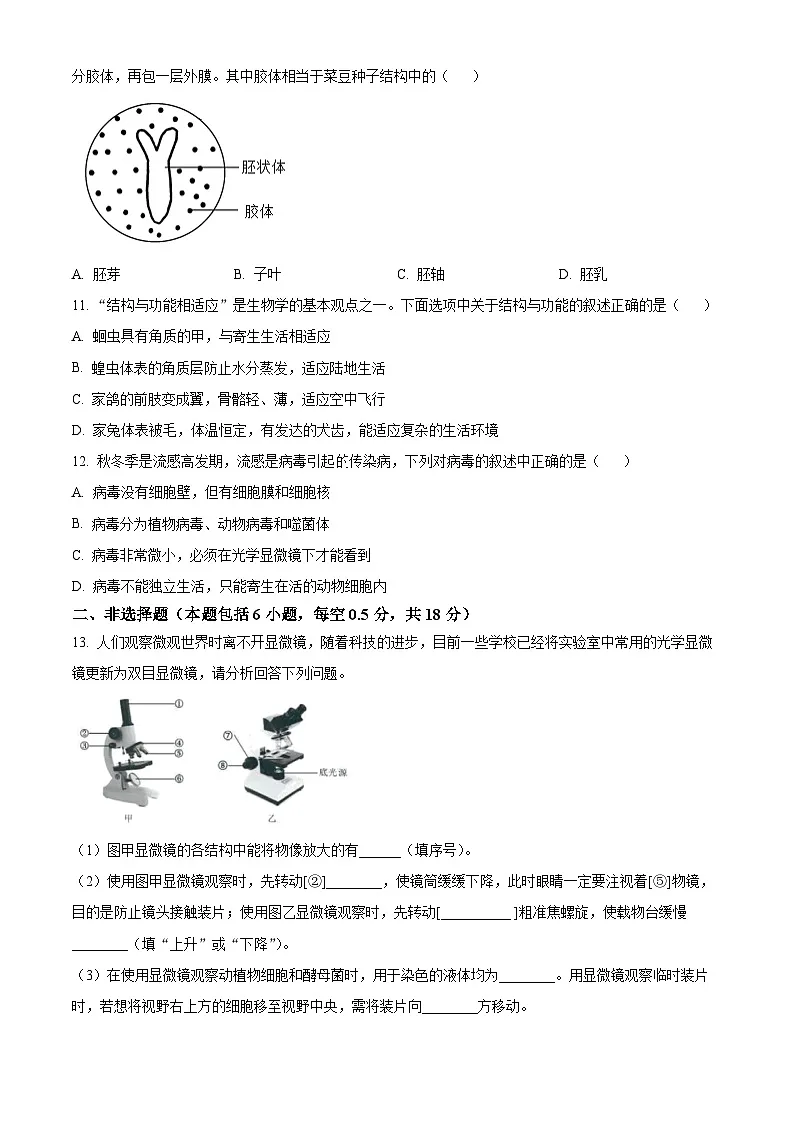 辽宁省大连市高新技术产业园区2024-2025学年七年级上学期期末生物试题（原卷版）第3页