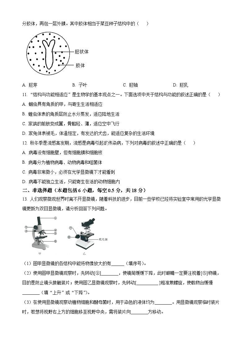 辽宁省大连市高新技术产业园区2024-2025学年七年级上学期期末生物试题（原卷版）第3页