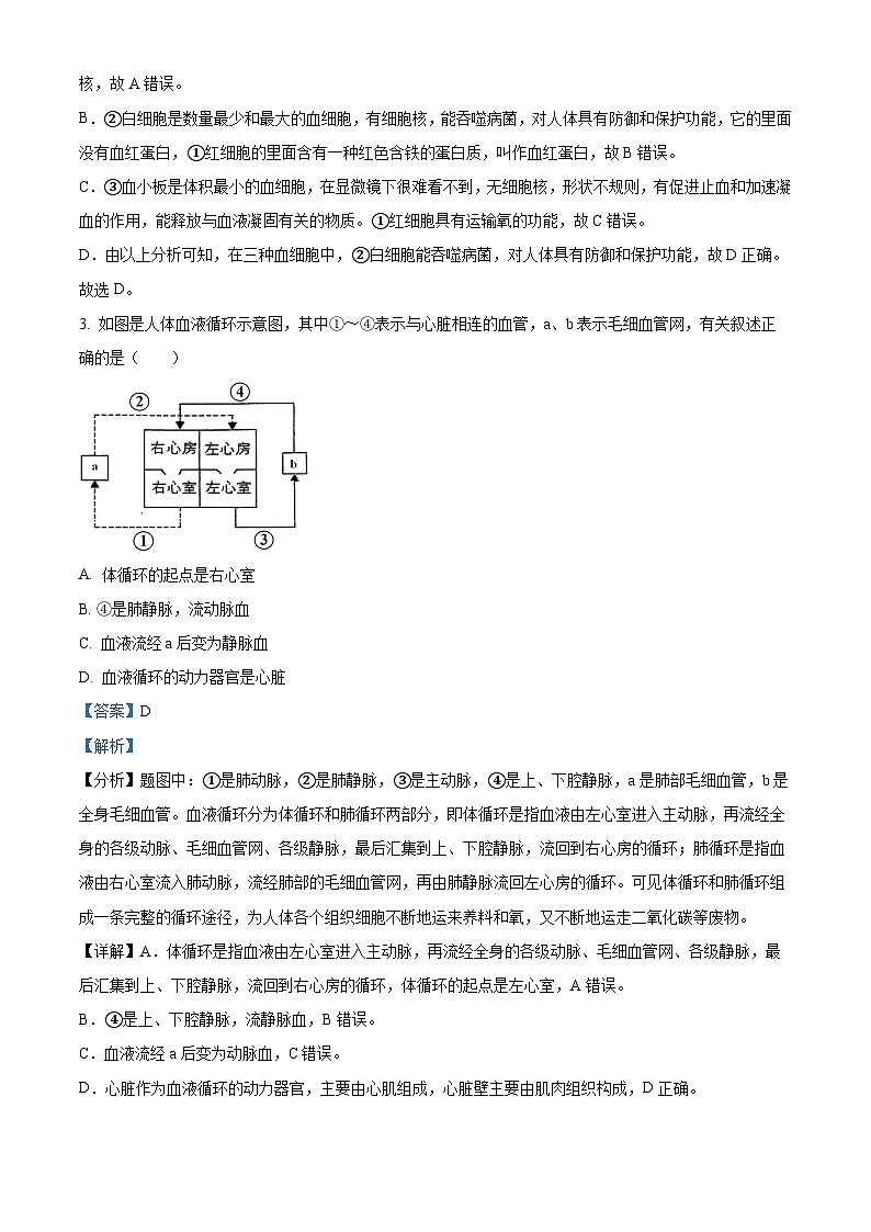 江苏省宿迁市宿城区2024-2025学年八年级上学期期末生物试题（解析版）第2页