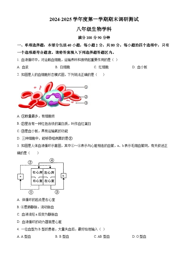 江苏省宿迁市宿城区2024-2025学年八年级上学期期末生物试题（原卷版）第1页