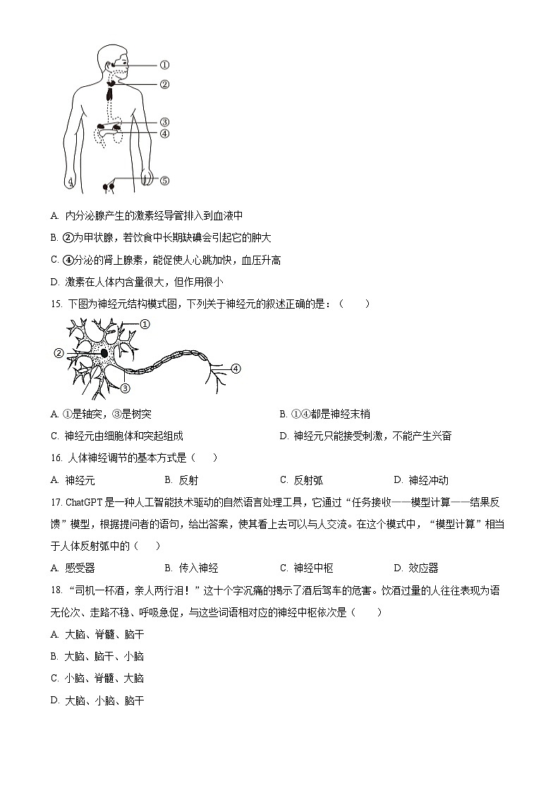 江苏省宿迁市宿城区2024-2025学年八年级上学期期末生物试题（原卷版）第3页