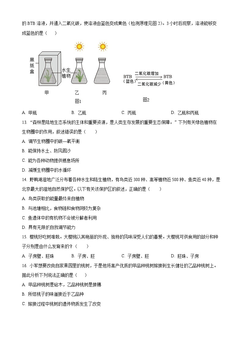 陕西省渭南市富平县2024-2025学年八年级上学期期末生物试题（原卷版）第3页