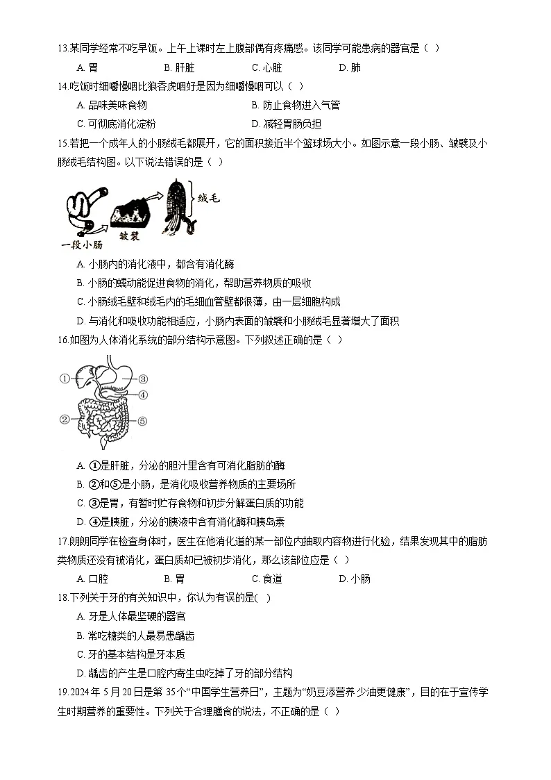 北师大版（2024）七年级下册生物第6章 人体的营养 学情评估测试卷（含答案解析）第2页