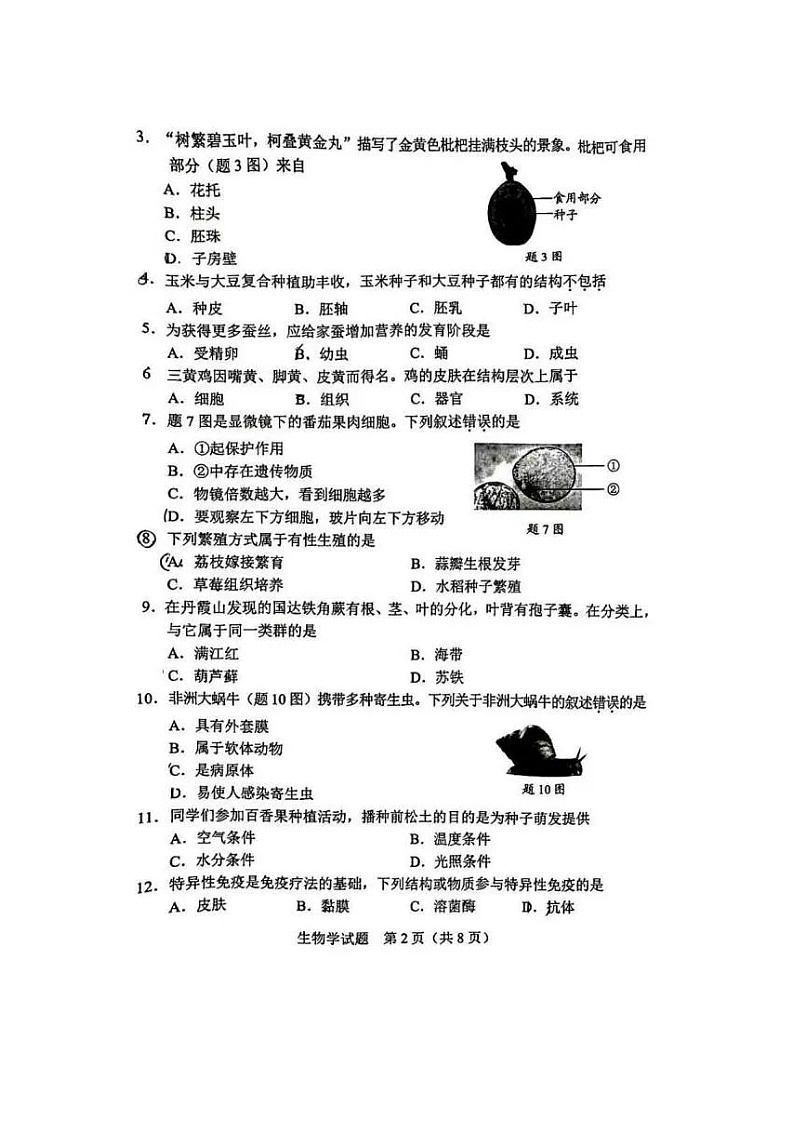 2024年广东省中考生物试题（pdf版含答案）第2页