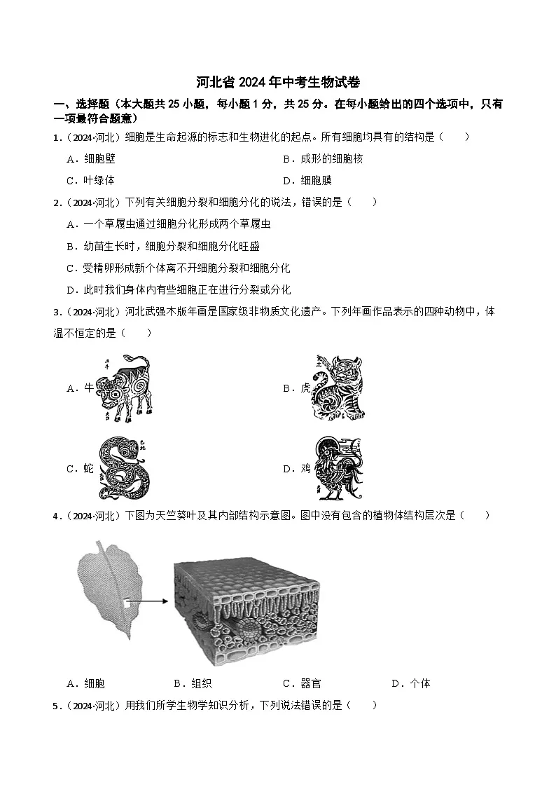 河北省2024年中考生物试卷(学生版)第1页