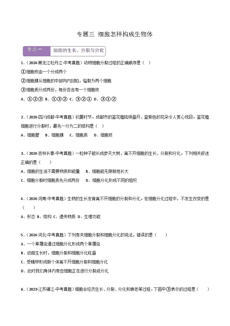 2022--2024年中考生物真题分类汇编-专题03  细胞怎样构成生物体（原卷版）第1页