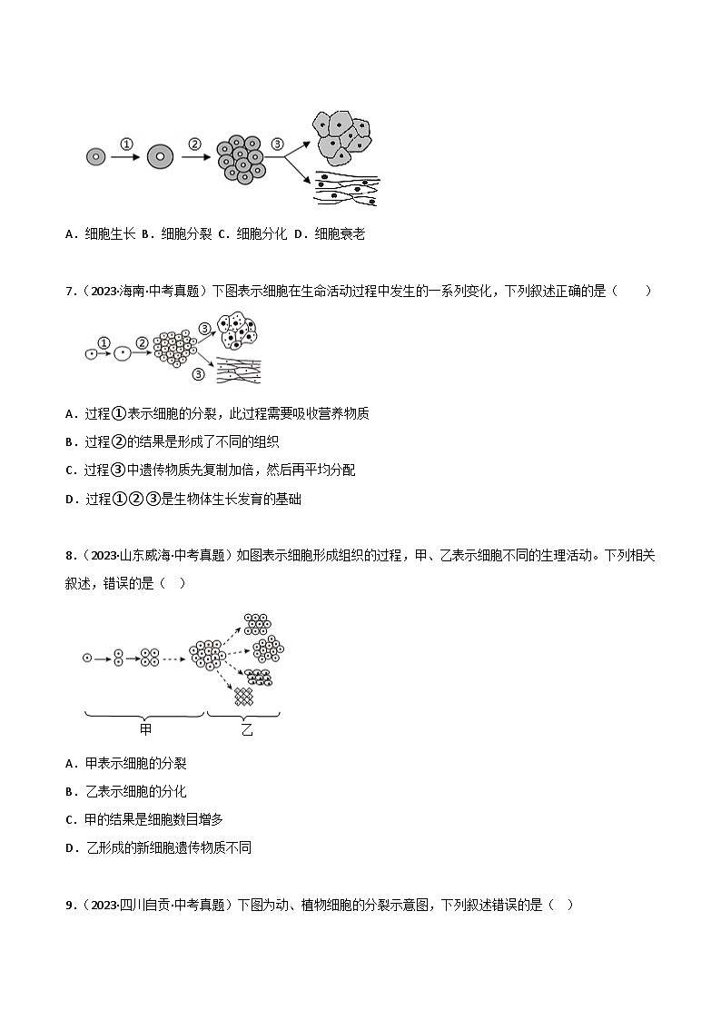 2022--2024年中考生物真题分类汇编-专题03  细胞怎样构成生物体（原卷版）第2页