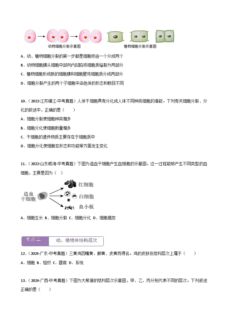 2022--2024年中考生物真题分类汇编-专题03  细胞怎样构成生物体（原卷版）第3页