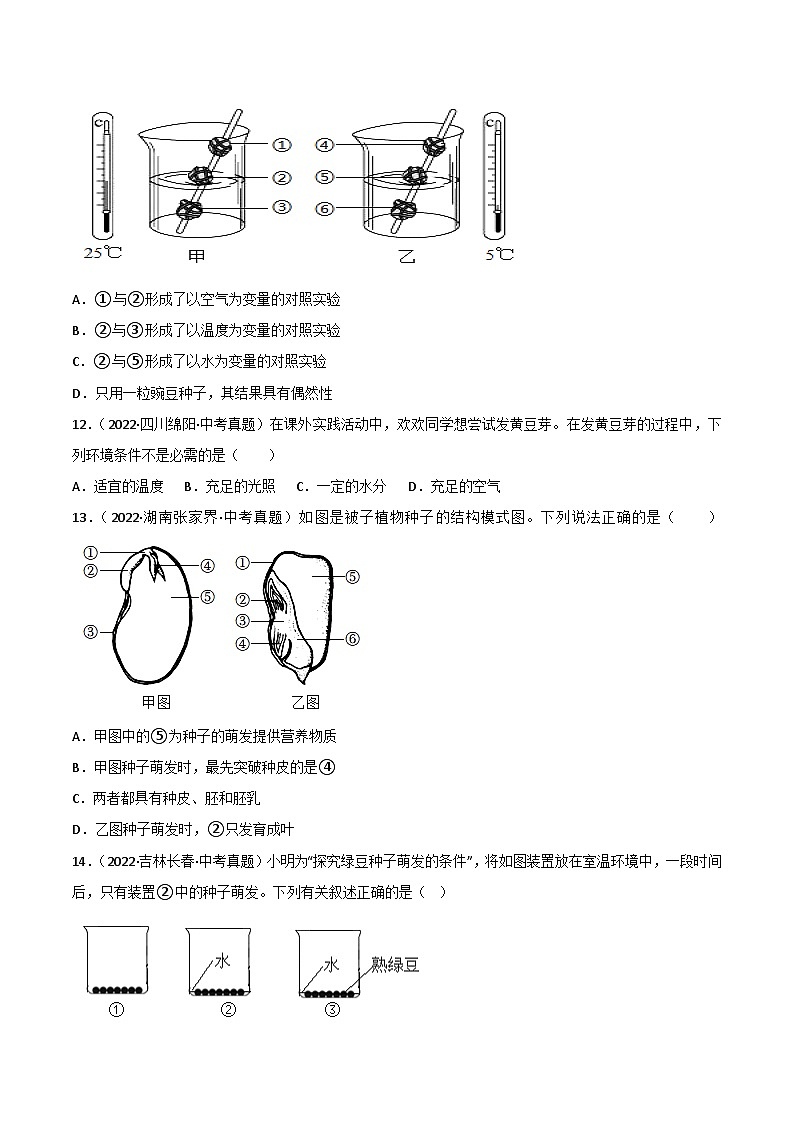 2022--2024年中考生物真题分类汇编-专题04   绿色开花植物的一生（原卷版）第3页