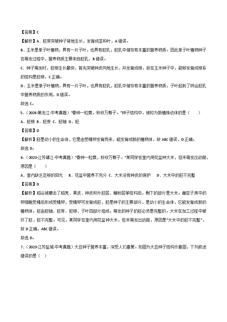 2022--2024年中考生物真题分类汇编-专题04   绿色开花植物的一生（解析版）第2页