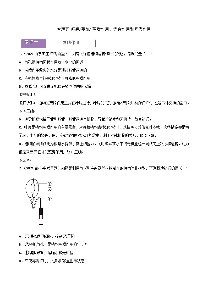 2022--2024年中考生物真题分类汇编-专题05  绿色植物的蒸腾作用、光合作用和呼吸作用（解析版）第1页