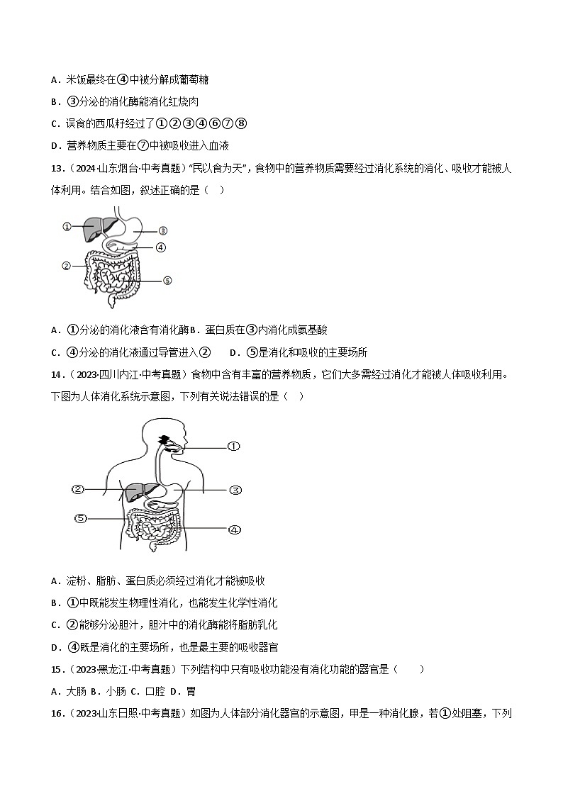 2022--2024年中考生物真题分类汇编-专题07  人体的营养（原卷版）第3页