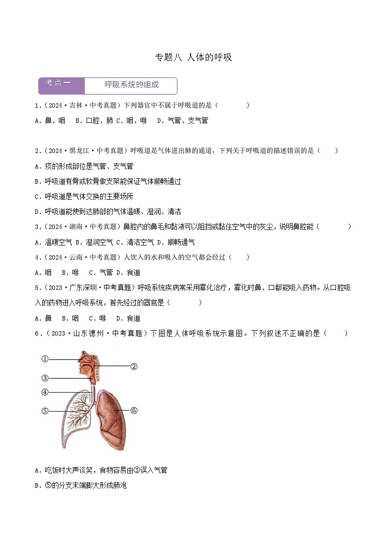 2022--2024年中考生物真题分类汇编-专题08  人体的呼吸（原卷版）第1页