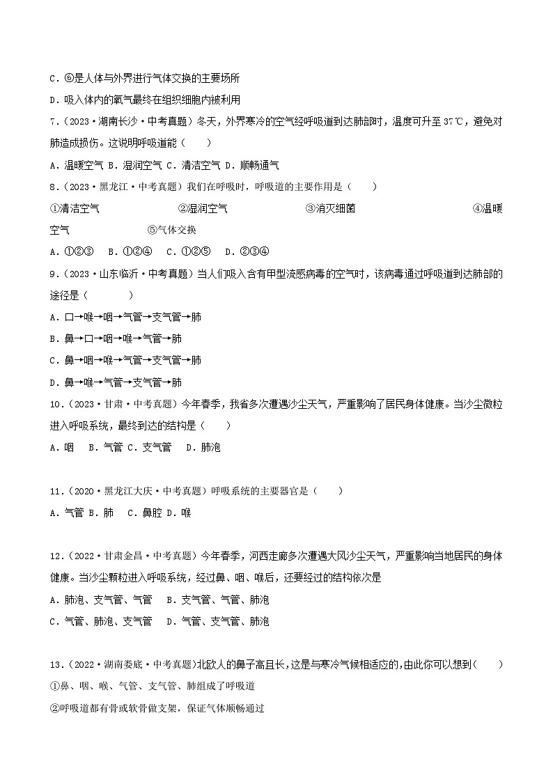 2022--2024年中考生物真题分类汇编-专题08  人体的呼吸（原卷版）第2页