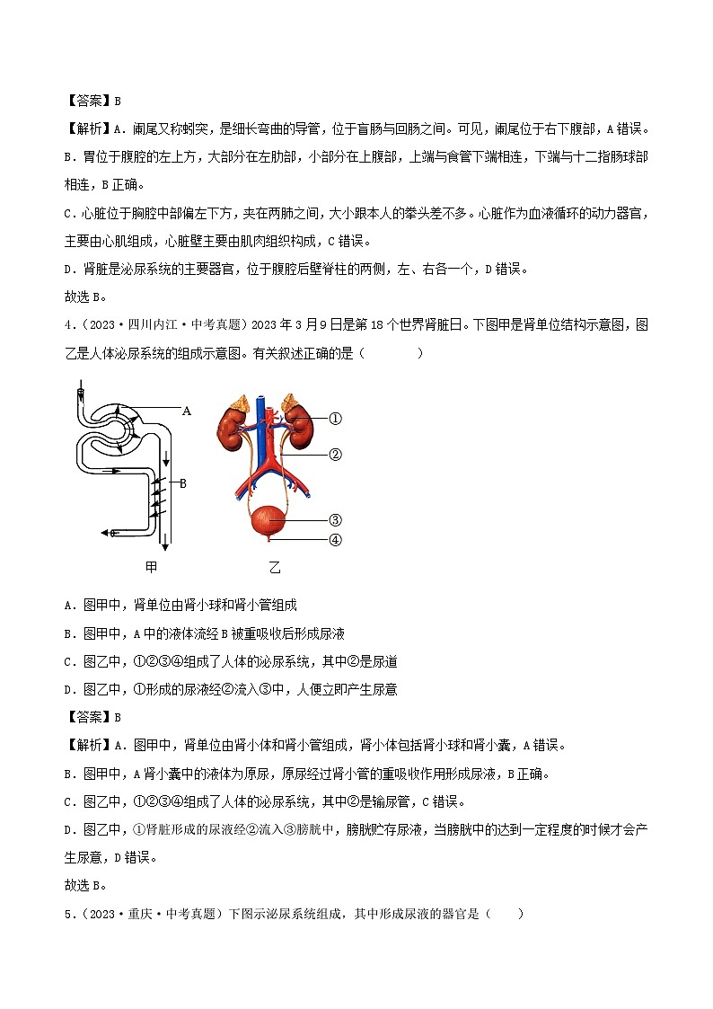 2022--2024年中考生物真题分类汇编-专题10  人体内废物的排出（解析版）第2页