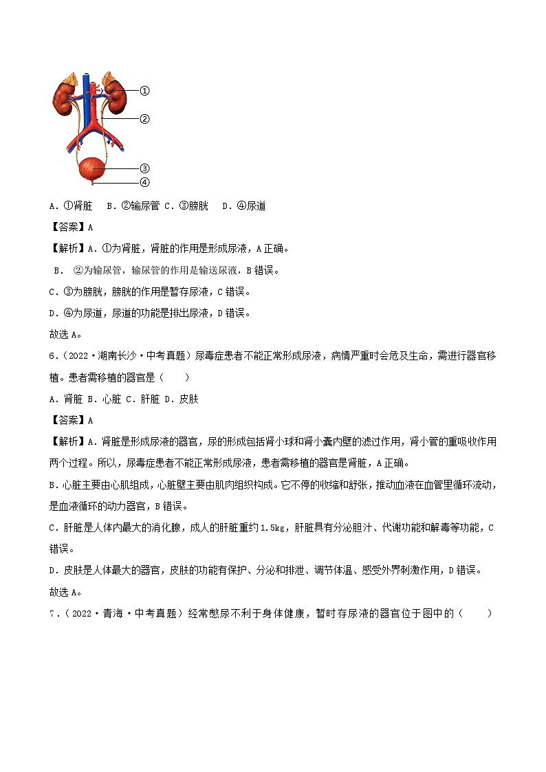 2022--2024年中考生物真题分类汇编-专题10  人体内废物的排出（解析版）第3页