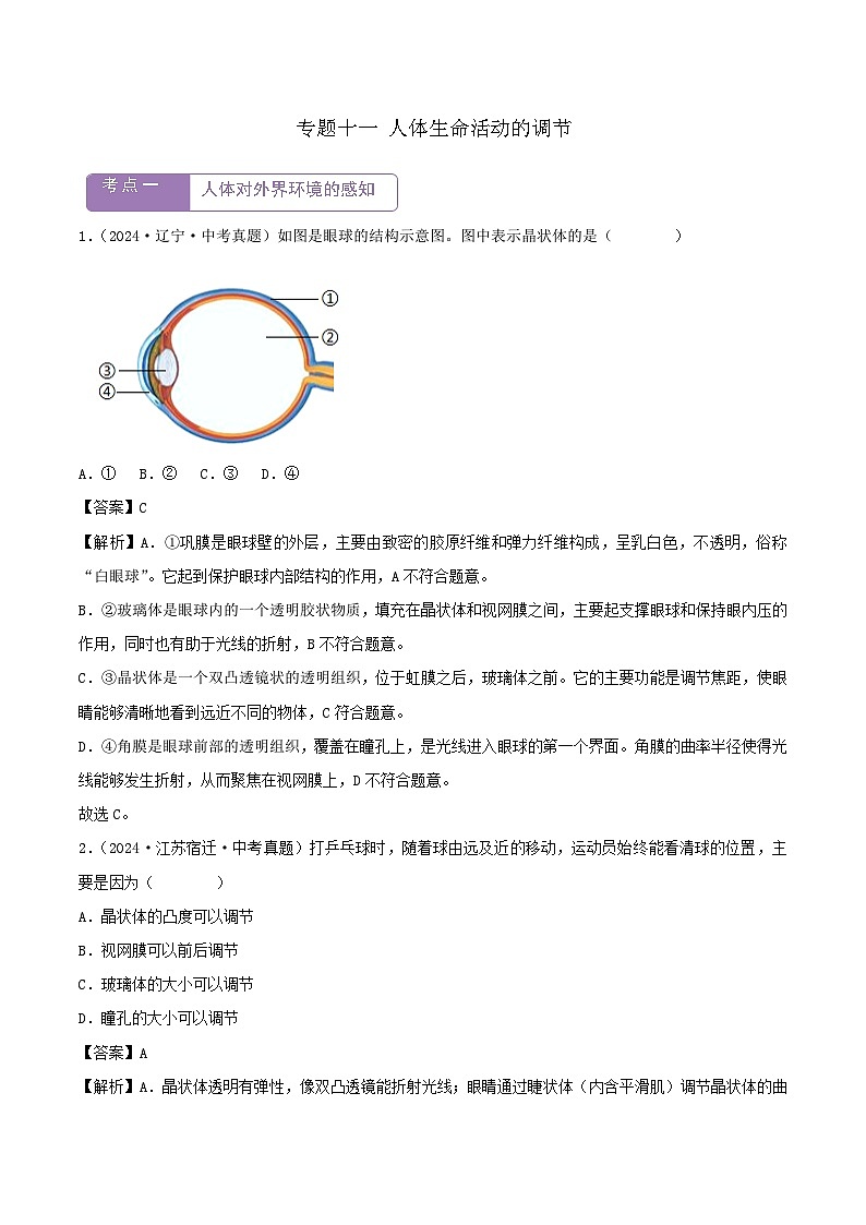 2022--2024年中考生物真题分类汇编-专题11  人体生命活动的调节（解析版）第1页