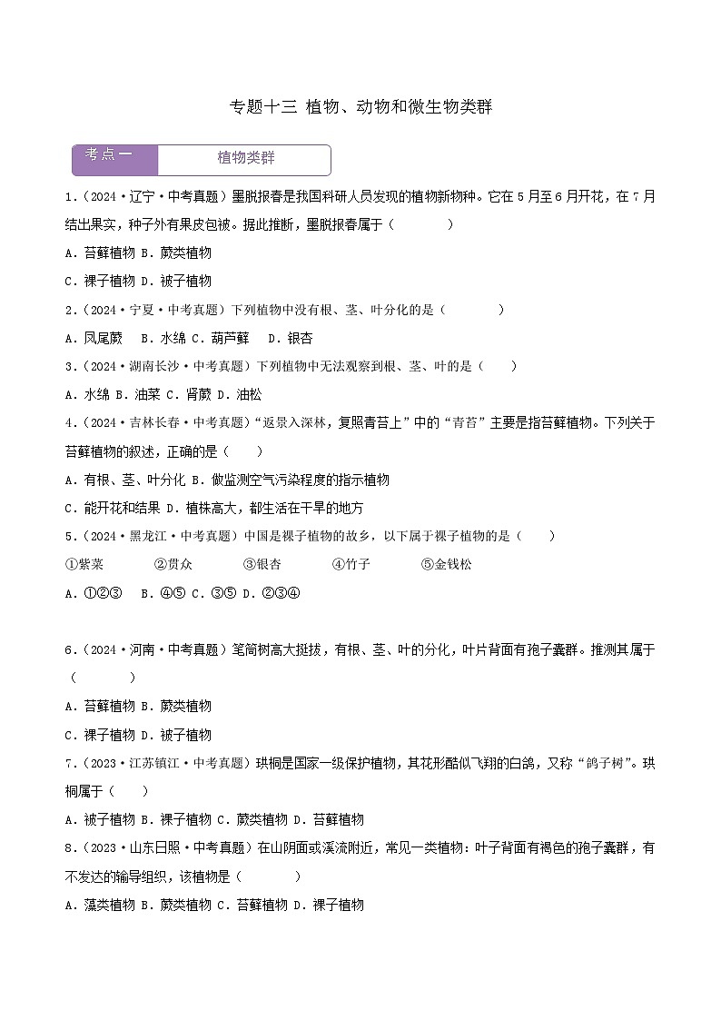 2022--2024年中考生物真题分类汇编-专题13  植物、动物和微生物类群（原卷版）第1页