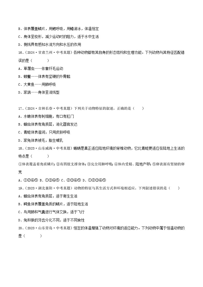 2022--2024年中考生物真题分类汇编-专题13  植物、动物和微生物类群（原卷版）第3页