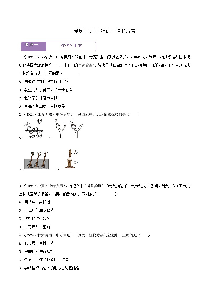 2022--2024年中考生物真题分类汇编-专题15  生物的生殖和发育（原卷版）第1页