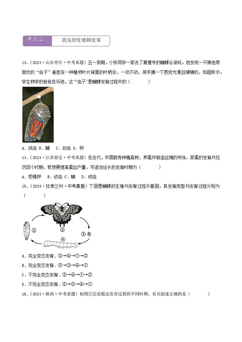 2022--2024年中考生物真题分类汇编-专题15  生物的生殖和发育（原卷版）第3页