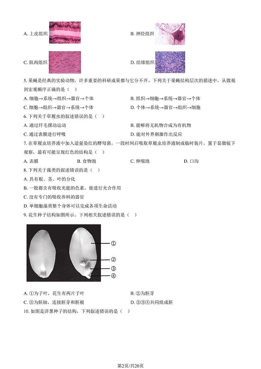 2025北京东城初一（上）期末生物试卷（有答案）第2页