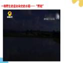 蘇科版生物七年級下冊 —第十章 保護(hù)生物多樣性 第1節(jié) PPT課件