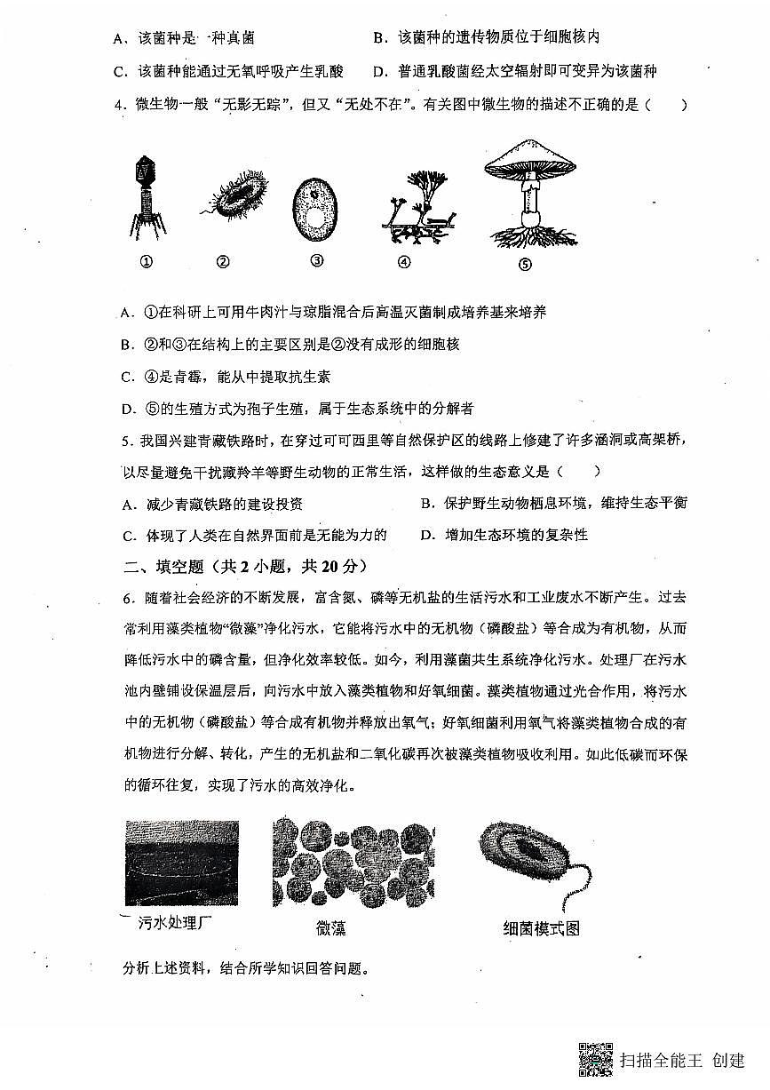 内蒙古乌兰察布市集宁区亿利东方学校四校期中联考2024-2025学年八年级上学期11月期中生物试题第2页