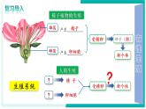 4.1.1 人的生殖 - 初中生物七年級下冊 同步教學(xué)課件+教學(xué)設(shè)計（人教版2024）