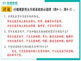 4.1.1 人的生殖 - 初中生物七年級下冊 同步教學(xué)課件+教學(xué)設(shè)計（人教版2024）