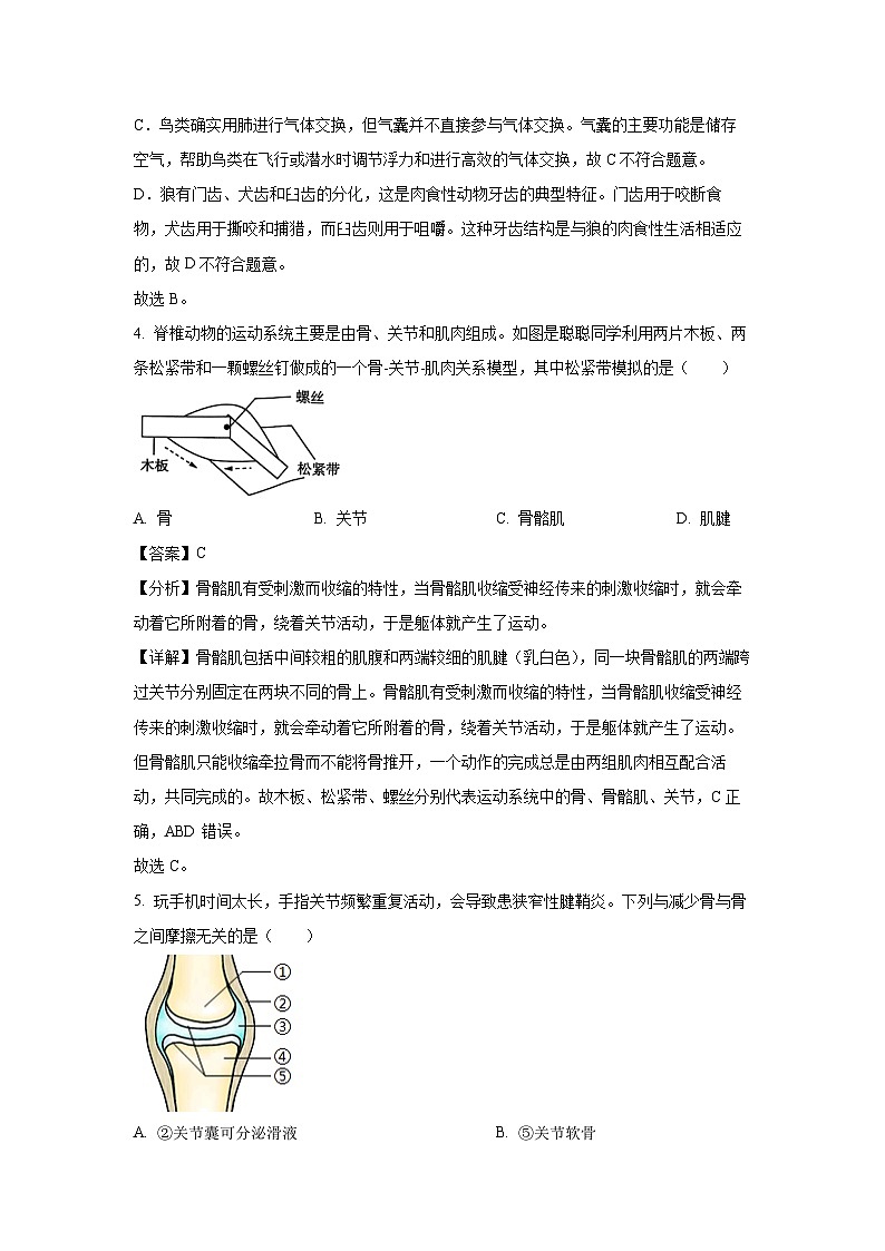 2024~2025学年河南省郑州市登封市八年级上学期期末生物试卷（解析版）第3页