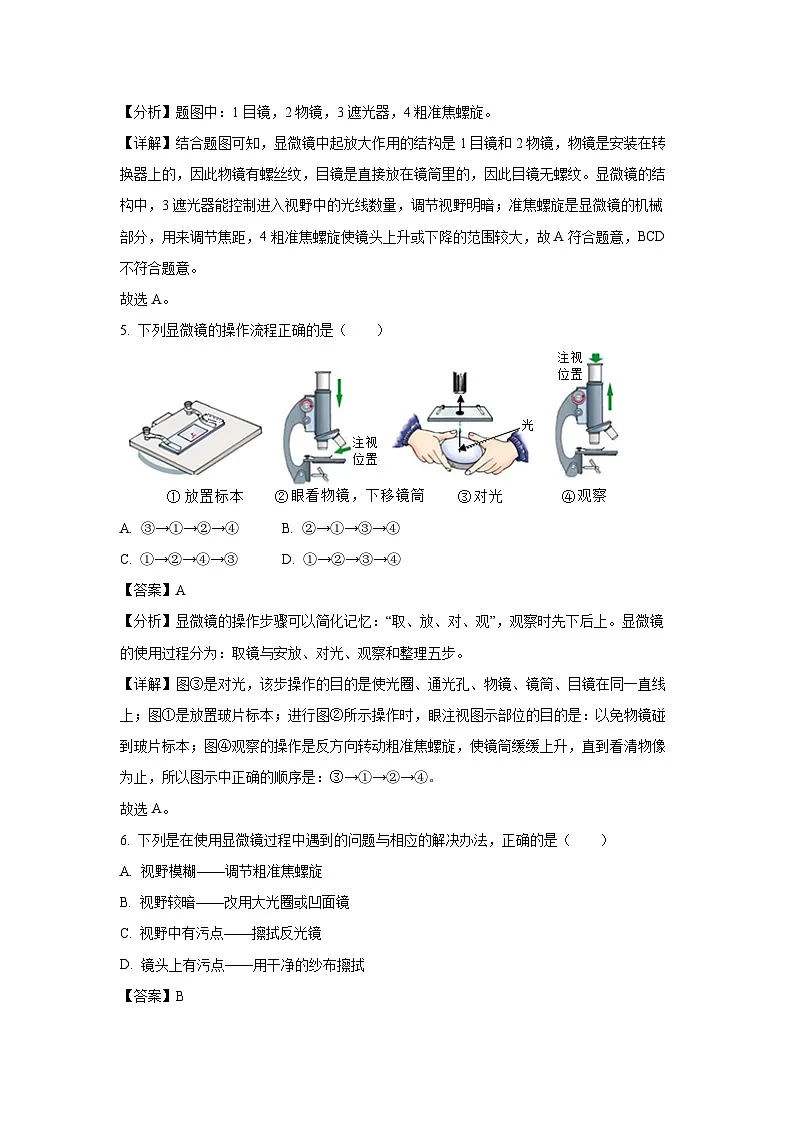 2024~2025学年安徽省安庆市怀宁县七年级上学期期中生物试卷（解析版）第3页