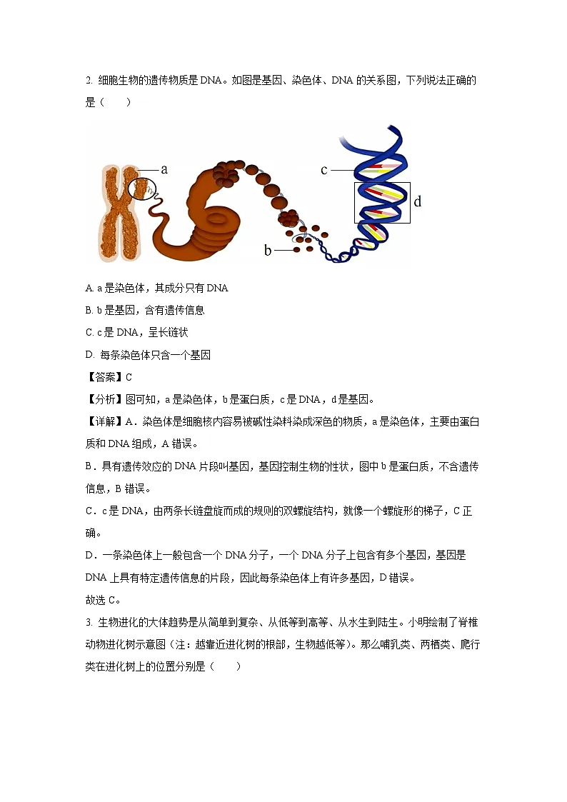 2024~2025学年河北省廊坊市霸州市八年级上学期期末生物试卷（解析版）第2页