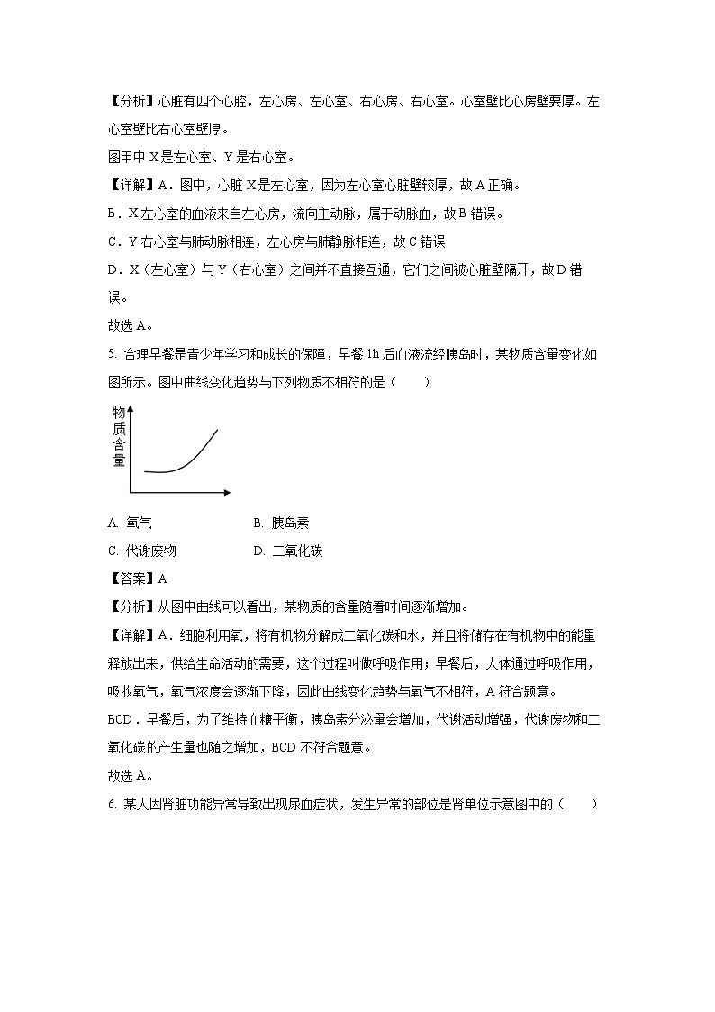 2024~2025学年江苏省泰州市泰兴市八年级上学期期末生物试卷（解析版）第3页