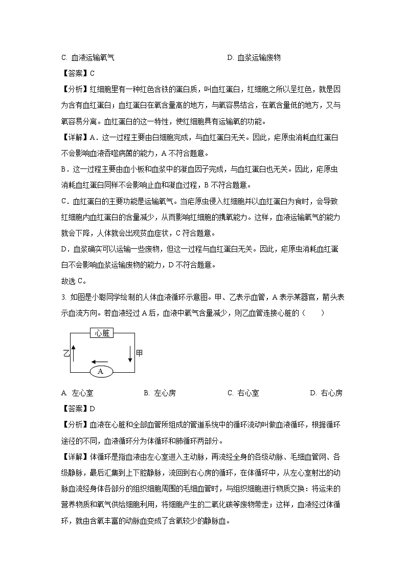 2024~2025学年江苏省泰州市兴化市八年级上学期期末生物试卷（解析版）第2页