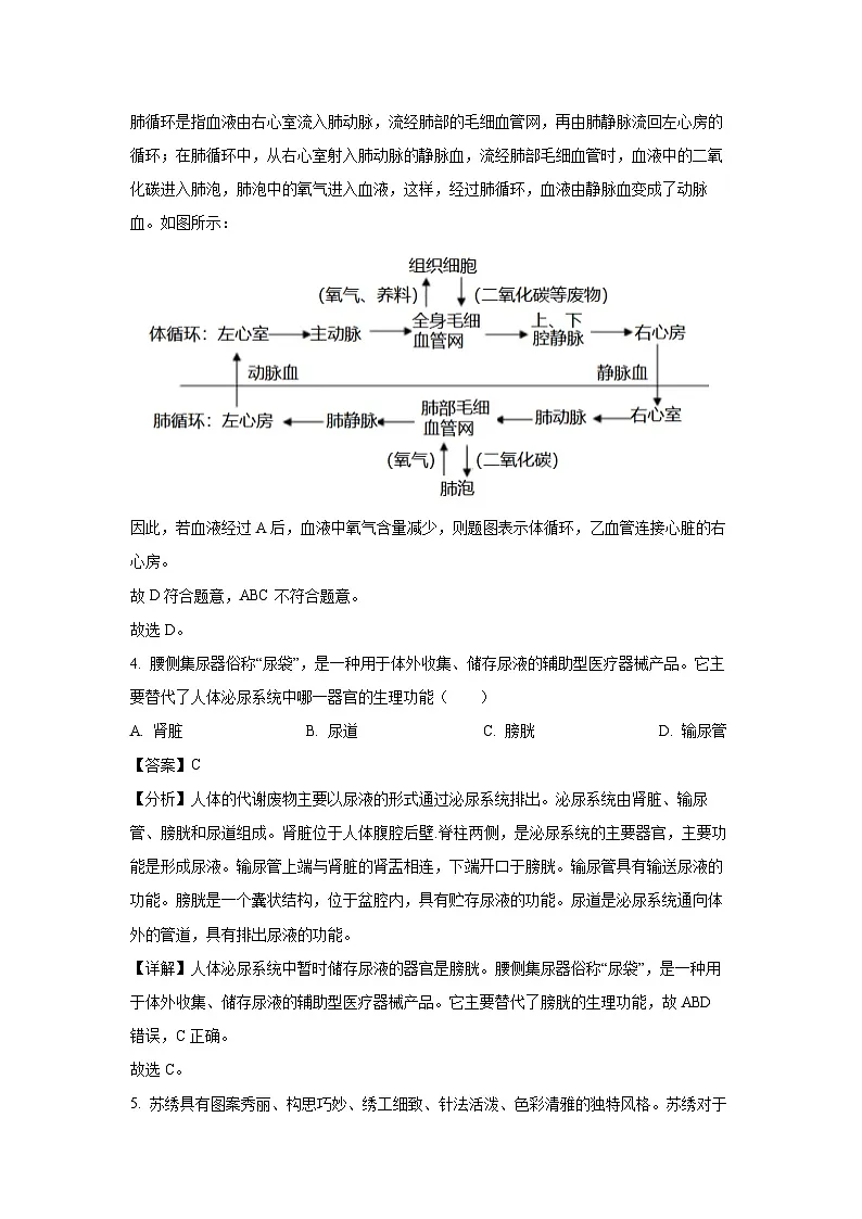 2024~2025学年江苏省泰州市兴化市八年级上学期期末生物试卷（解析版）第3页