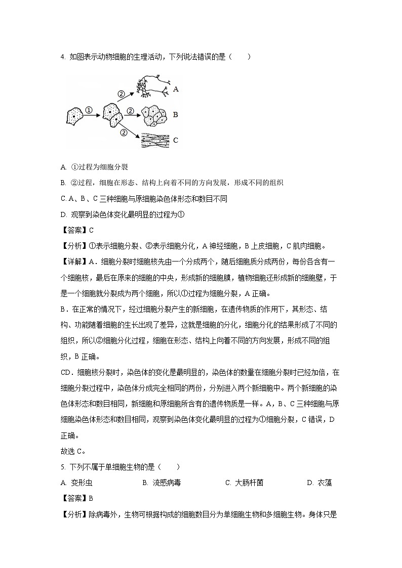 2024~2025学年辽宁省沈阳市皇姑区七年级上学期期末生物试卷（解析版）第3页