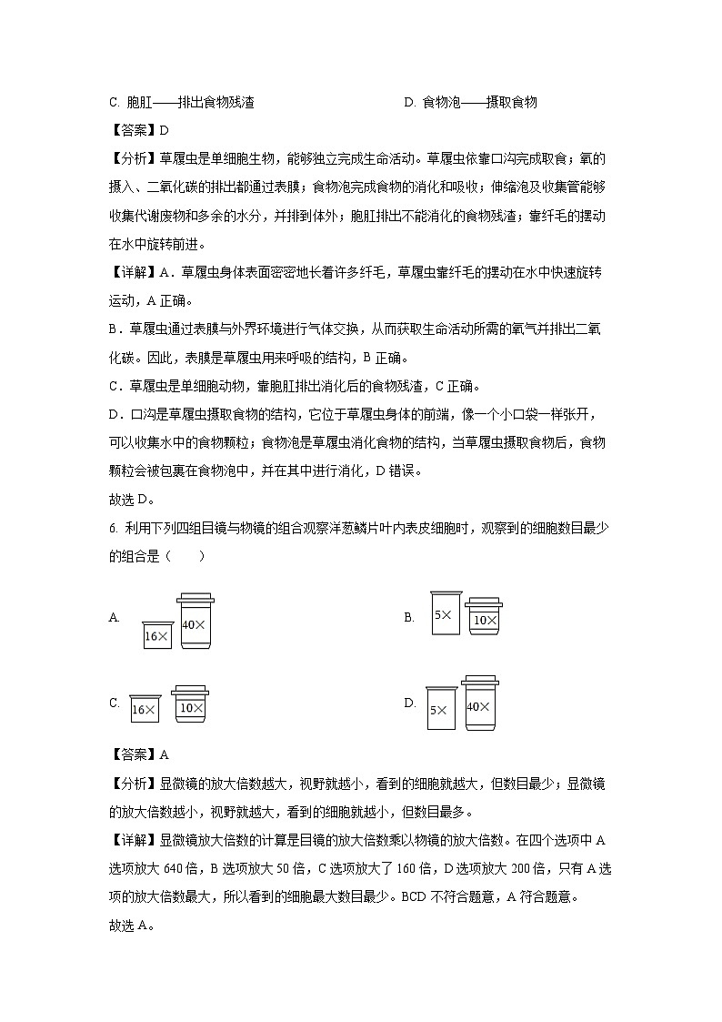 2024~2025学年四川省眉山市仁寿县多校七年级上学期期末生物试卷（解析版）第3页