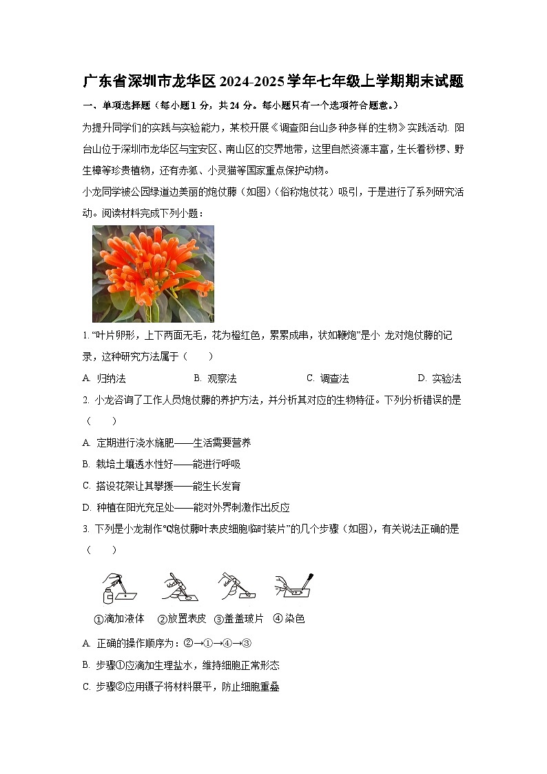 2024-2025学年广东省深圳市龙华区七年级上学期期末生物试卷（解析版）第1页