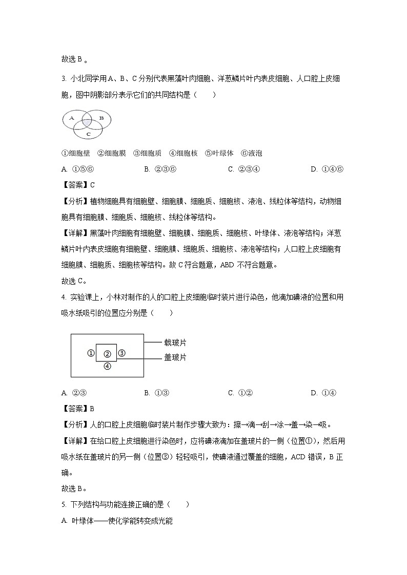 2024—2025学年甘肃省陇南市西和县七年级上学期期末生物试卷（解析版）第2页