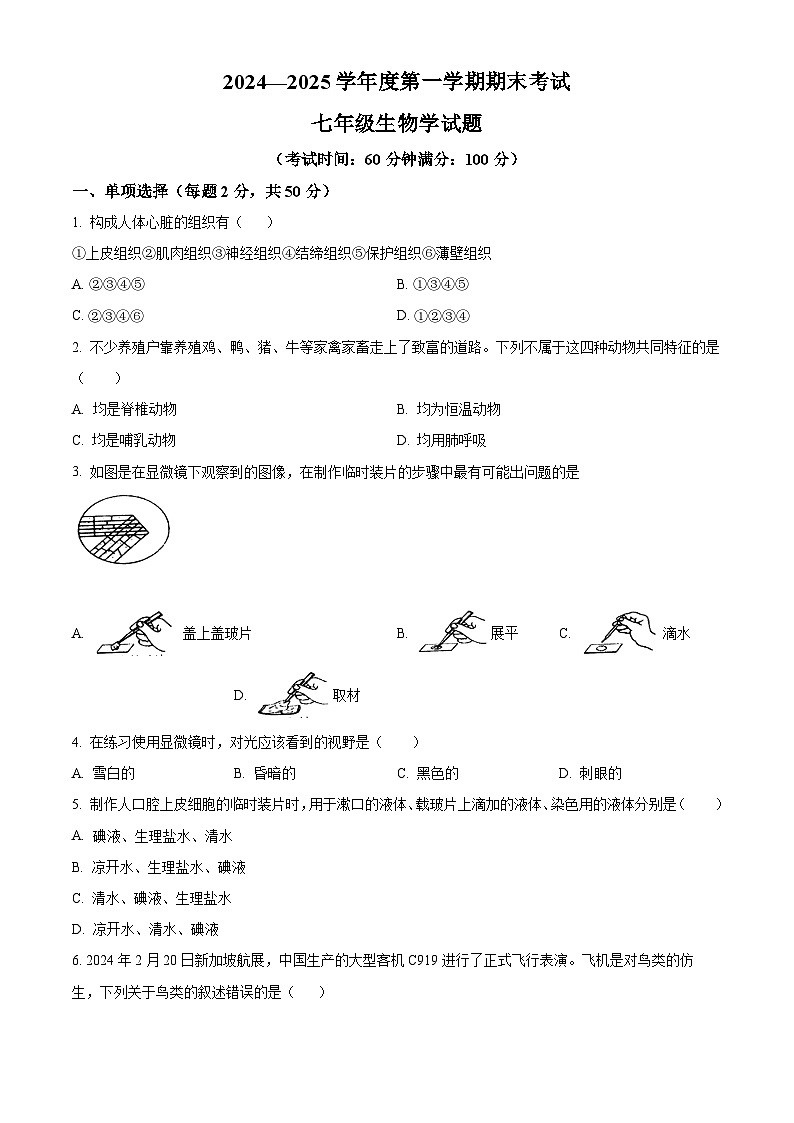 安徽省池州市青阳县2024-2025学年七年级上学期期末生物试题（原卷版+解析版）第1页