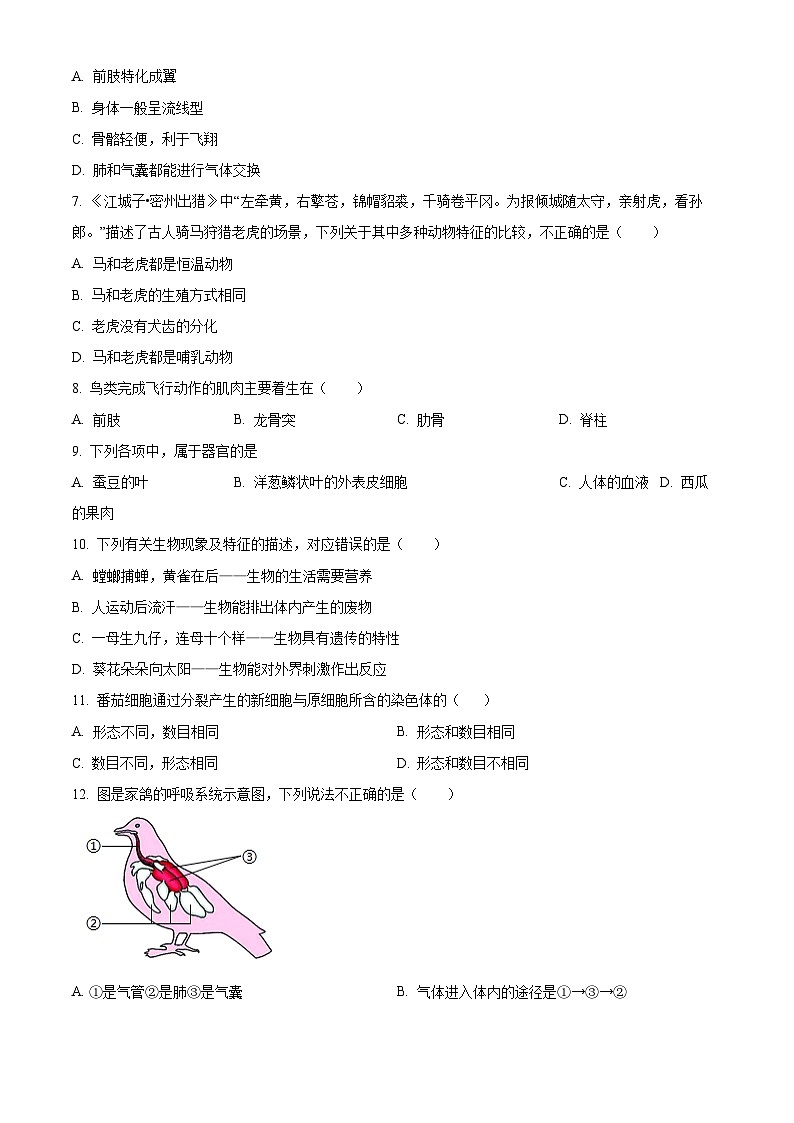 安徽省池州市青阳县2024-2025学年七年级上学期期末生物试题（原卷版+解析版）第2页