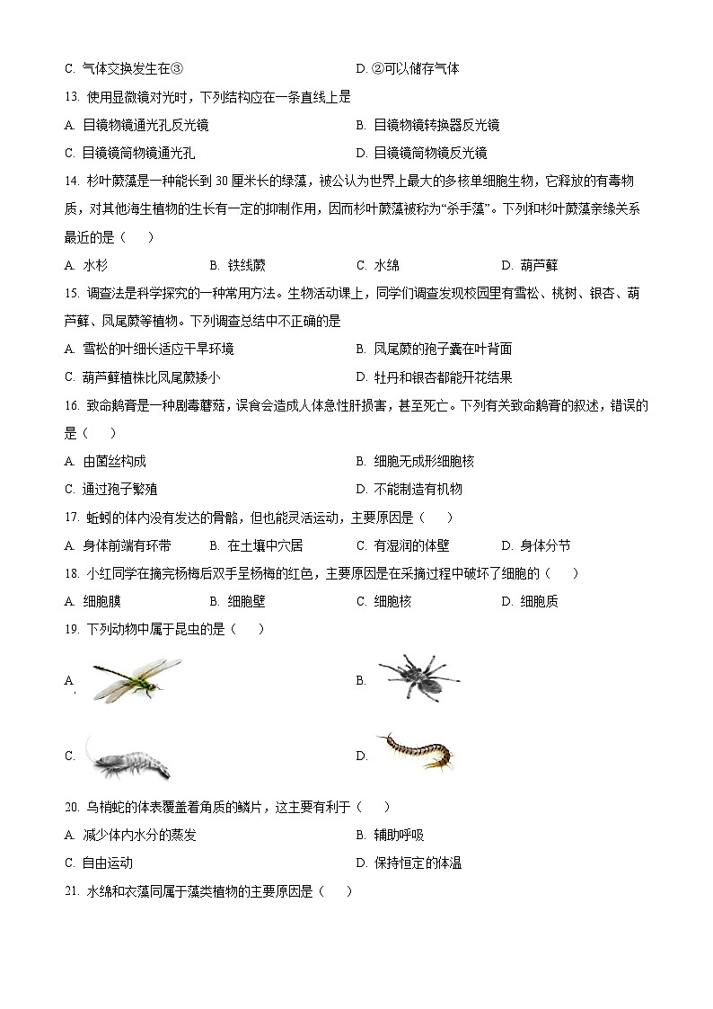 安徽省池州市青阳县2024-2025学年七年级上学期期末生物试题（原卷版+解析版）第3页