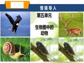 魯科版八年級(jí)生物上冊(cè)第一章7.1.1腔腸動(dòng)物和扁形動(dòng)物教學(xué)課件+訓(xùn)練含答案