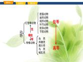 魯科版八年級(jí)生物上冊(cè)第一章7.1.1腔腸動(dòng)物和扁形動(dòng)物教學(xué)課件+訓(xùn)練含答案